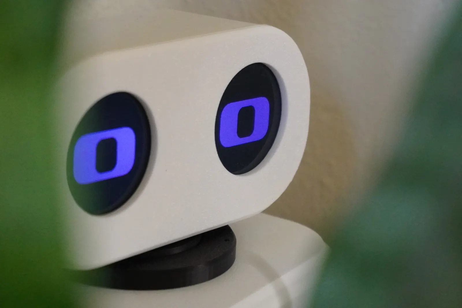 Close-up of the AELX-2 head, two violet eyes on round displays, framed by out-of-focus leaves